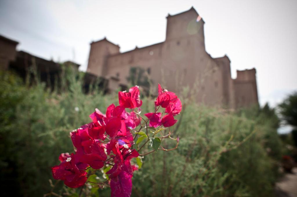 Kasbah Ait Ben Moro Ξενοδοχείο Skoura Εξωτερικό φωτογραφία